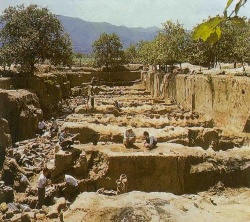 Early excavations before the museum building was begun